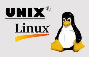 UNIX/Linux essentials